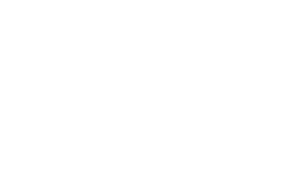 :scale 20%